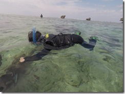 GOPR0544