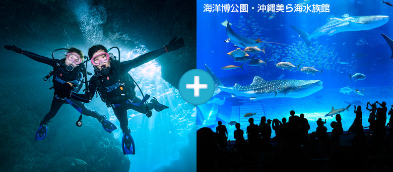 青の洞窟体験ダイビング＆沖縄美ら海水族館入館チケット